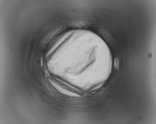 X0000112721155200909171058