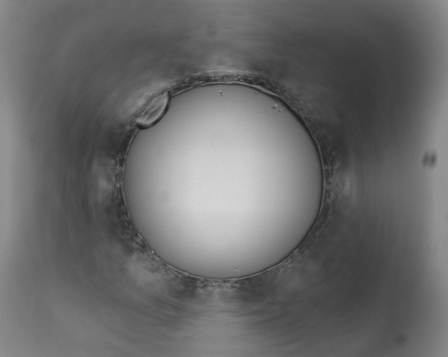 X0000112721157200909171058