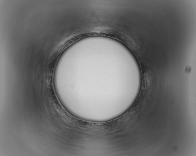 X0000112721158200909171058