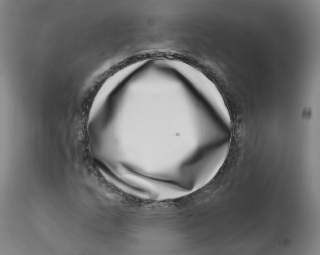 X0000112721159200909171058