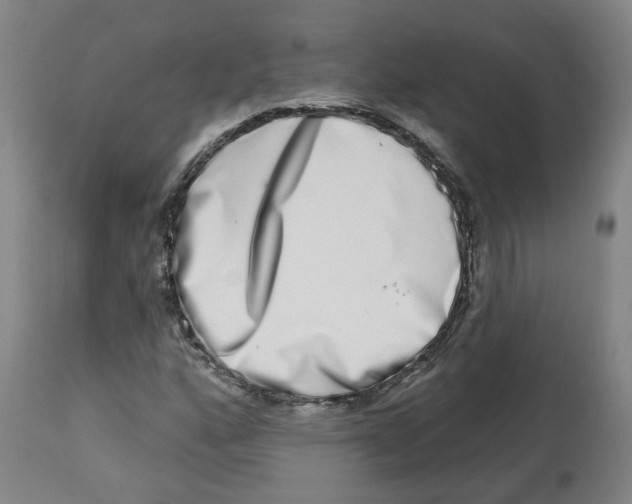 X0000112721160200909171058