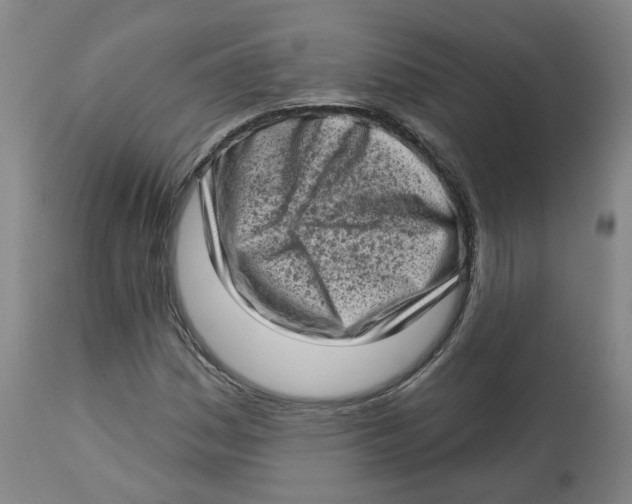 X0000112721161200909171058