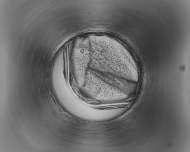 X0000112721162200909171058