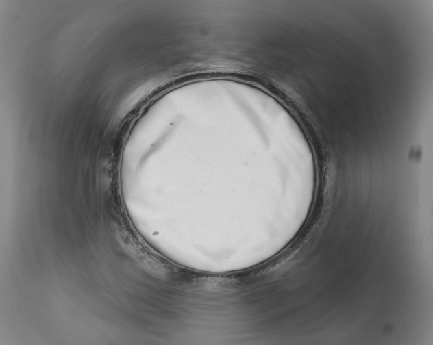 X0000112721163200909171058