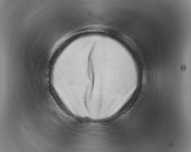 X0000112721164200909171058