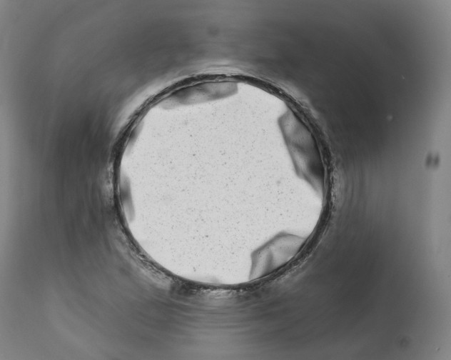 X0000112721167200909171057