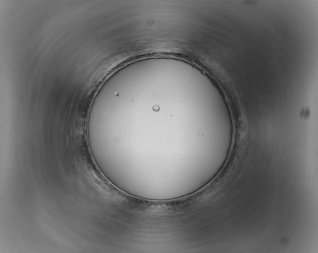 X0000112721169200909171057