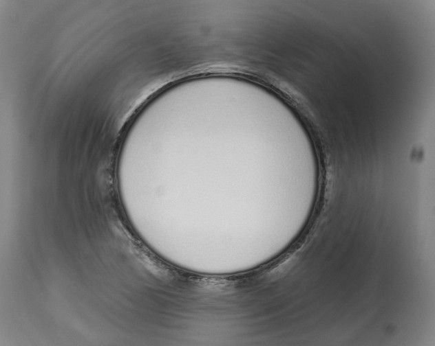 X0000112721170200909171057