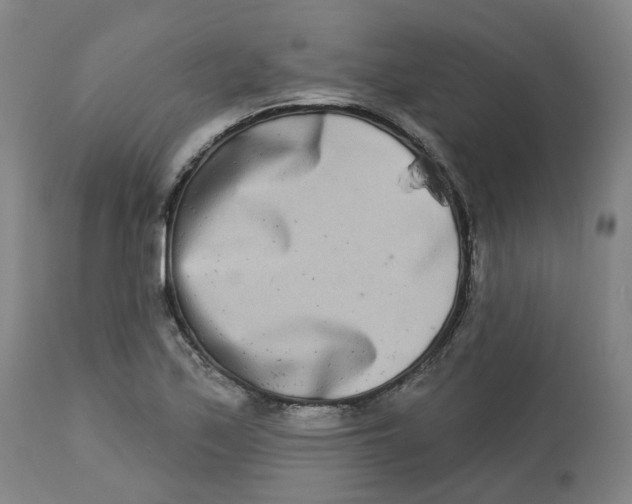 X0000112721171200909171057