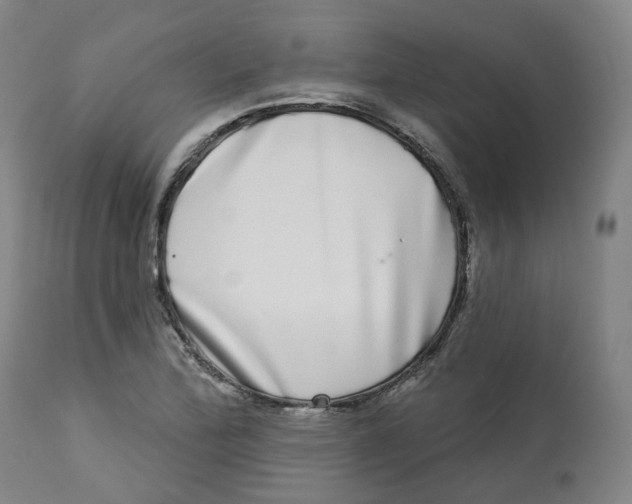 X0000112721172200909171057