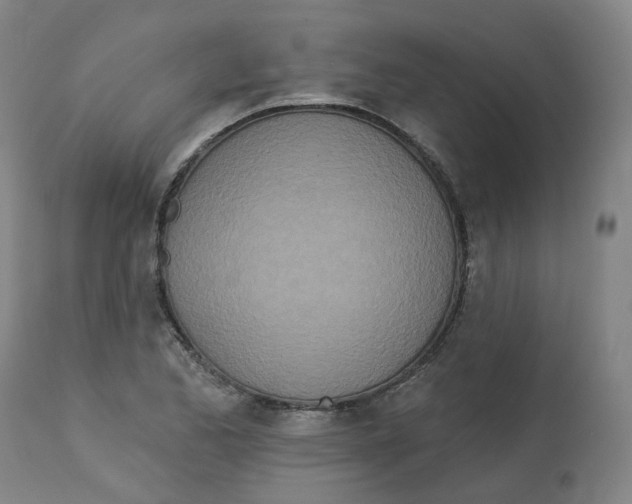 X0000112721173200909171057