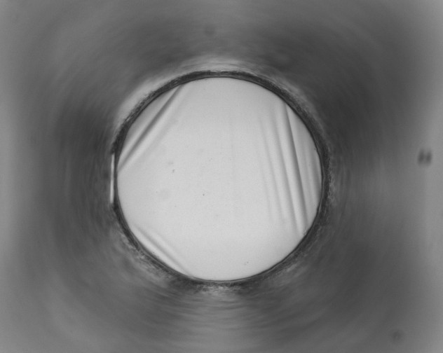 X0000112721175200909171057