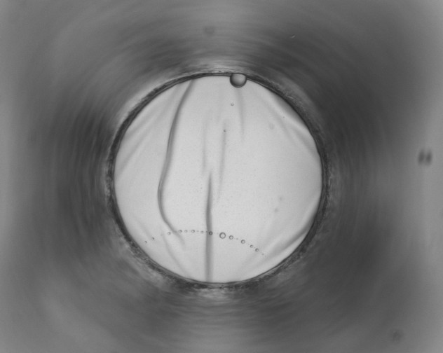 X0000112721182200909171057