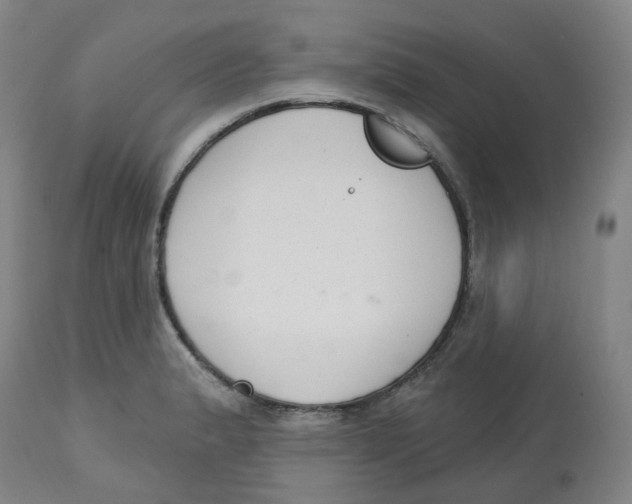 X0000112721183200909171057