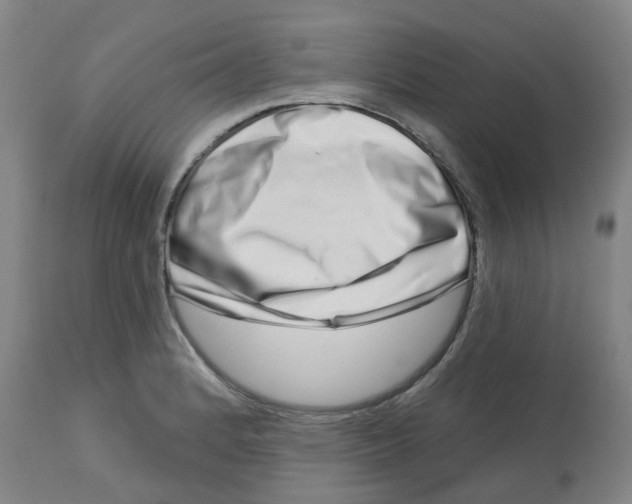 X0000112721184200909171057