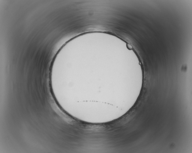 X0000112721187200909171057