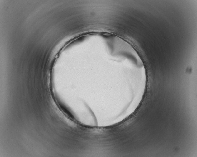 X0000112721188200909171057