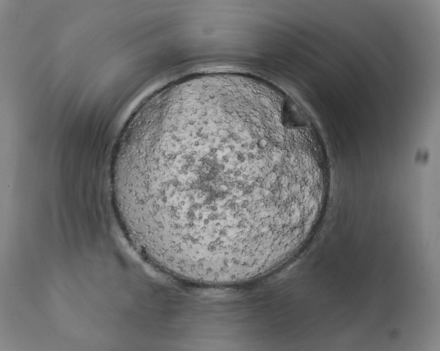 X0000112721189200909171057