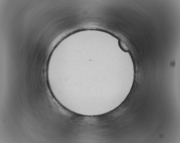 X0000112721191200909171057