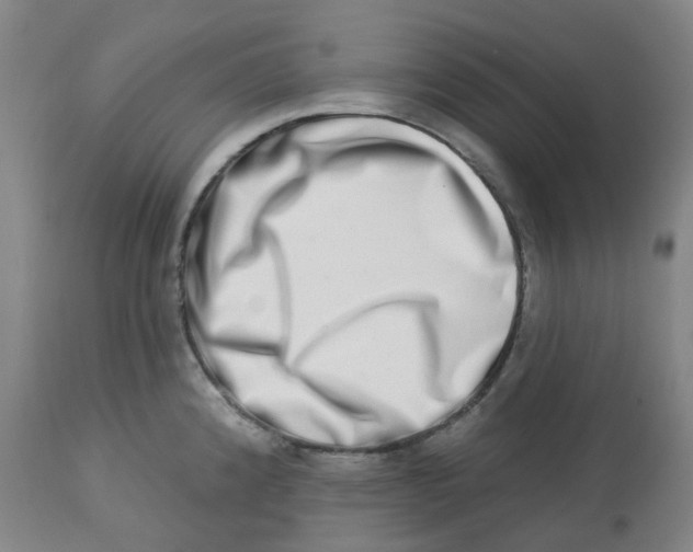 X0000112721192200909171057