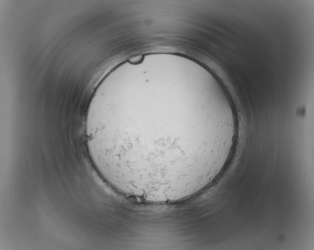 X0000112721193200909171057