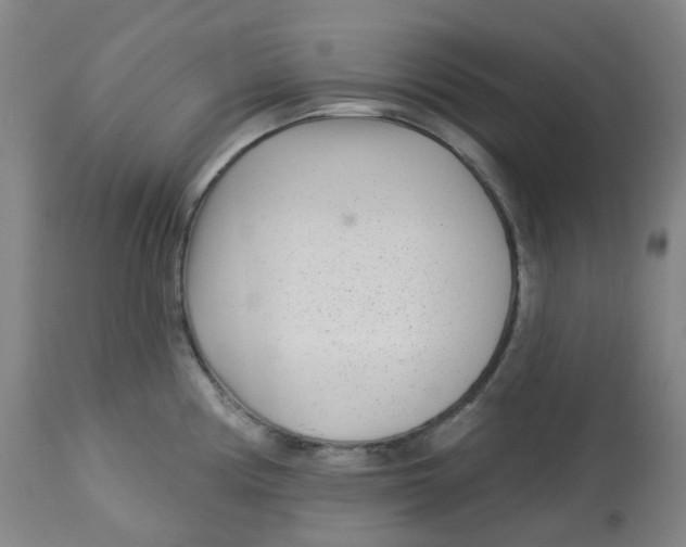 X0000112721194200909171057