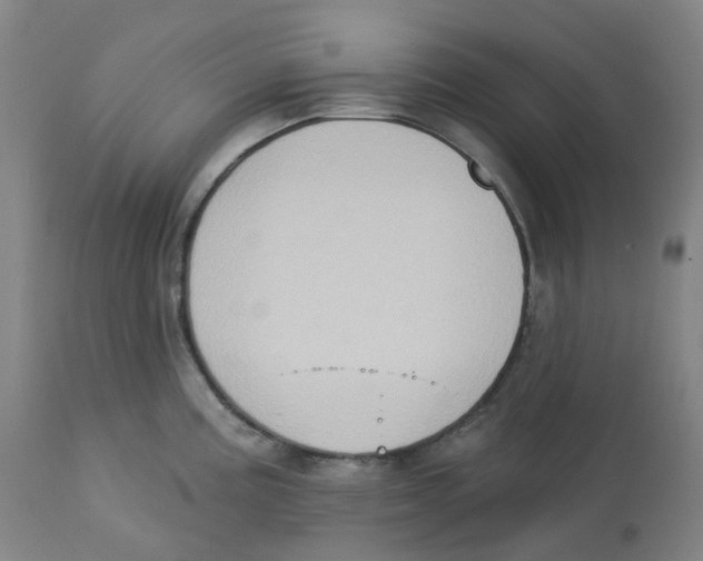 X0000112721195200909171057