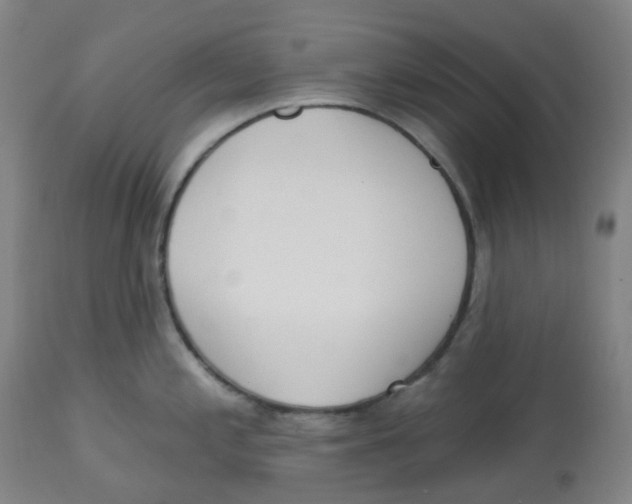 X0000112721197200909171057