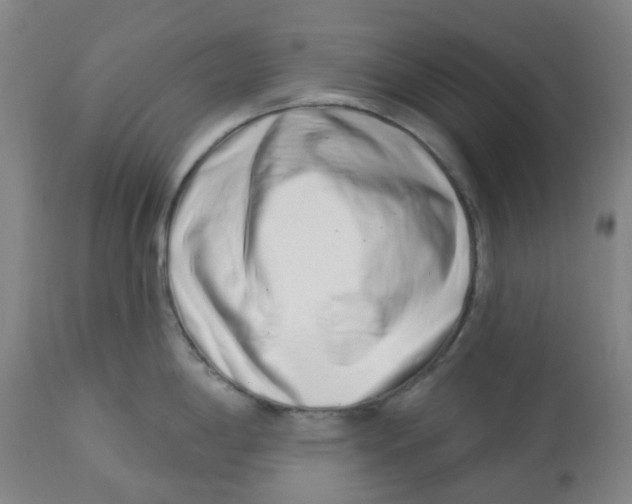 X0000112721198200909171057