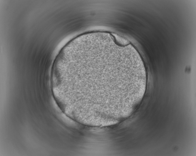 X0000112721199200909171057