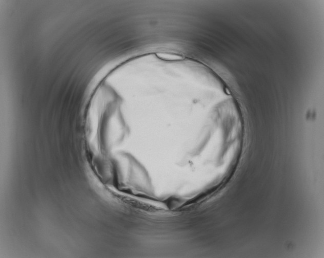 X0000112721200200909171057