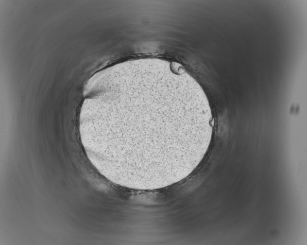 X0000112721201200909171056