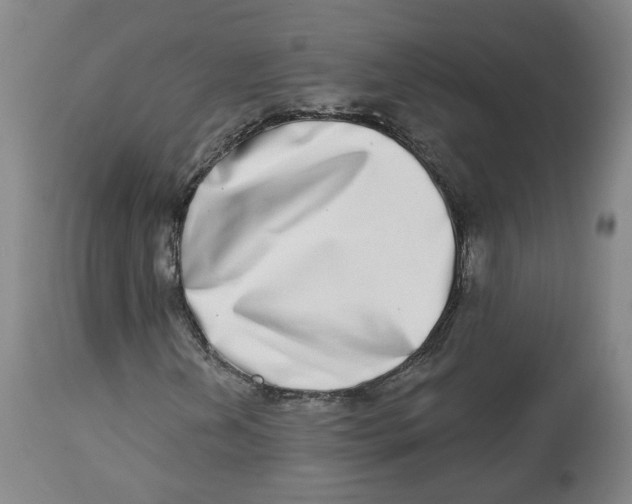 X0000112721202200909171056