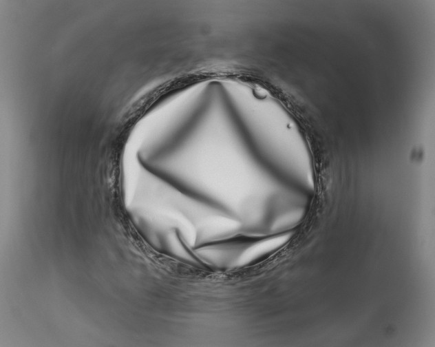 X0000112721206200909171056