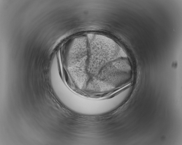 X0000112721210200909171056