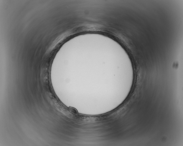 X0000112721211200909171056