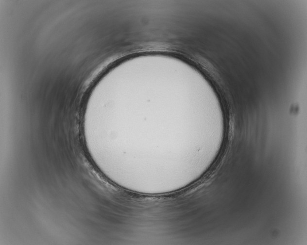 X0000112721212200909171057