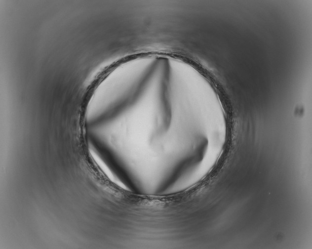 X0000112721214200909171057