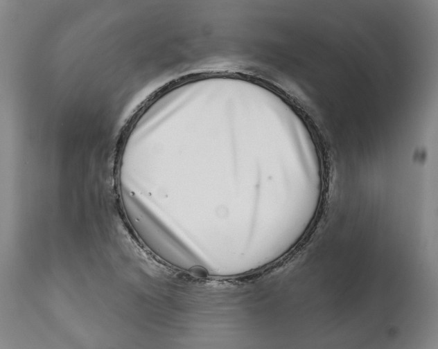 X0000112721216200909171057