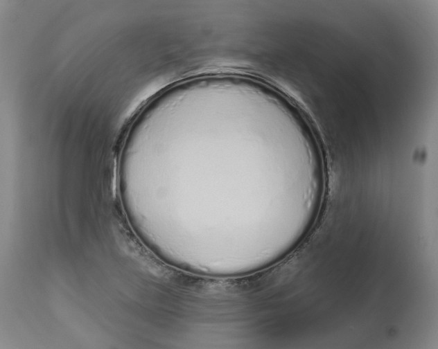 X0000112721219200909171057