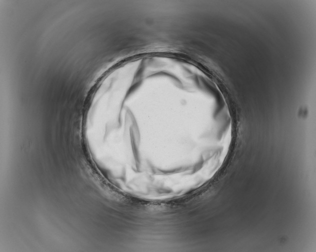 X0000112721220200909171057