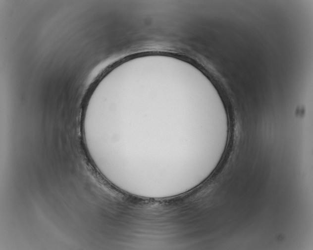 X0000112721222200909171057