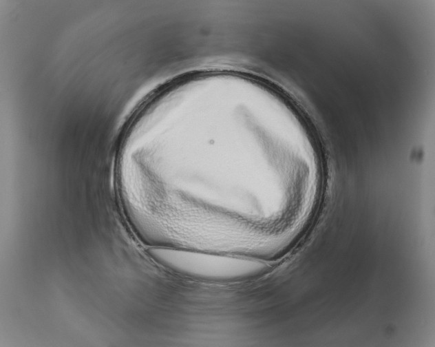 X0000112721224200909171057