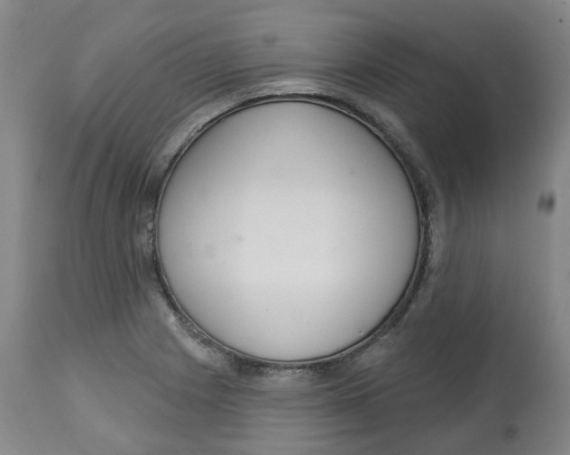 X0000112721225200909171057