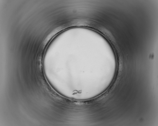 X0000112721226200909171057