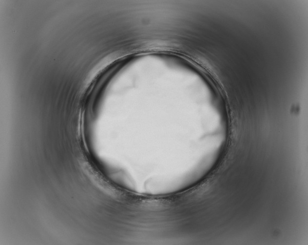 X0000112721227200909171057