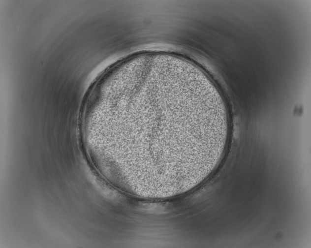 X0000112721229200909171057