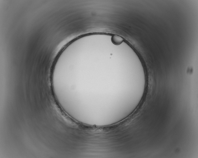 X0000112721230200909171057