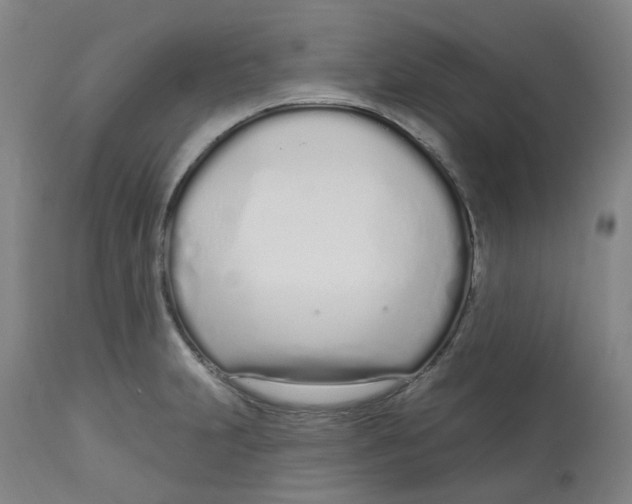 X0000112721231200909171057