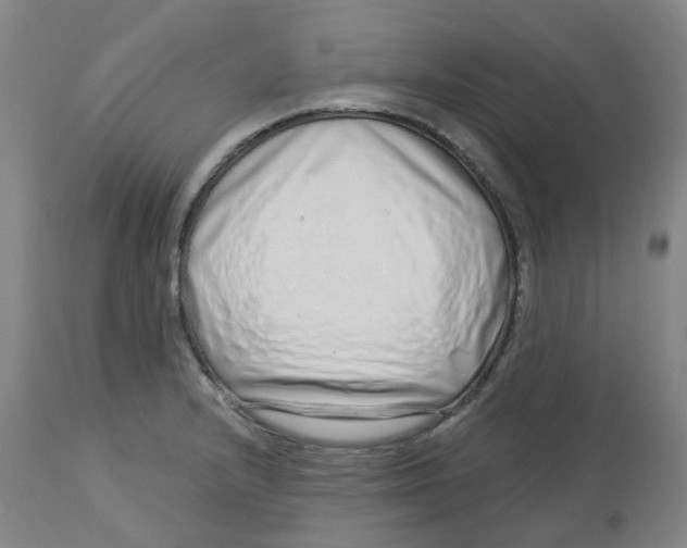 X0000112721232200909171057